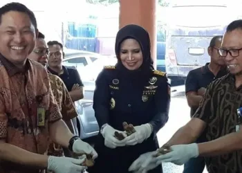 Ratusan Cerutu Senilai Miliaran Rupiah Dimusnahkan