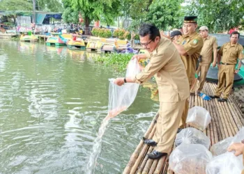 5.000 Benih Ikan Disebar di Danau Cipondoh