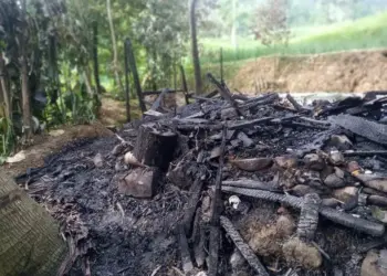 Rumah Terbakar, Warga Jayapura Tewas Terpanggang