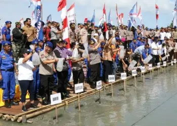 Cegah Abrasi, Kapolri, Panglima TNI dan Bupati Zaki Tanam Mangrove