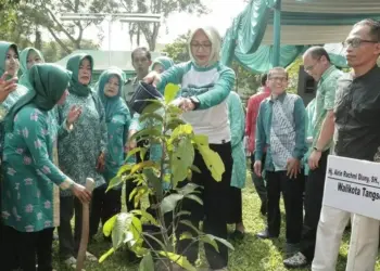 Walikota Airin Resmikan GSG dan Balai Warga