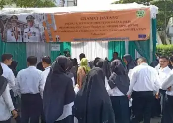 600 Peserta CPNS Tak Hadir SKD, Peluang Honorer Membesar