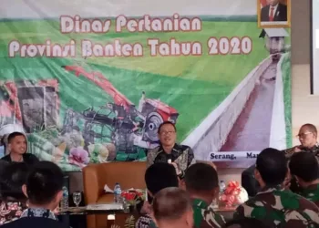 Kembangkan Usaha Pisang dan Durian, Pemprov Siapkan 1.000 Hektar