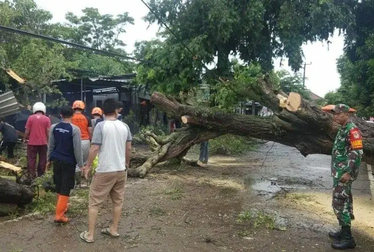 Pohon Tumbang Timpa Warung Kupat Tahu