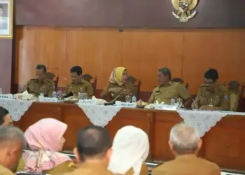 Wakil Bupati Serang Sebut Manajemen Aset‎ Pemkab Masih Rendah