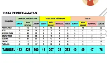 Korban Meninggal Akibat Corona di Tangsel Tembus 52 Orang