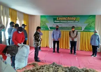 53,5 Ton Rumput Laut Asal Tirtayasa Diekspor ke Vietnam