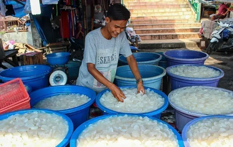 Penjualan Buah Kolang-Kaling Menurun