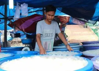 Penjualan Buah Kolang-Kaling Menurun