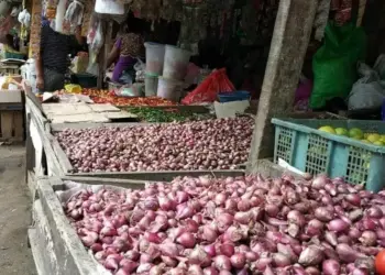 Harga Bawang Merah di Pandeglang “Makin Pedih”