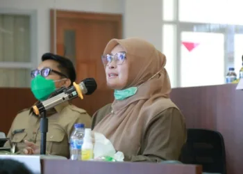 Halal Bihalal dengan OPD, Bupati Irna Gunakan Video Conference