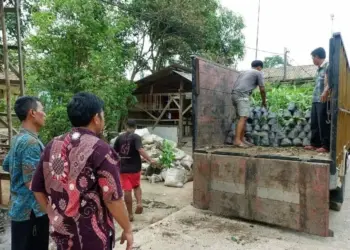 Tiga Jenis Tanaman Langka di Kabupaten Serang Dilestarikan