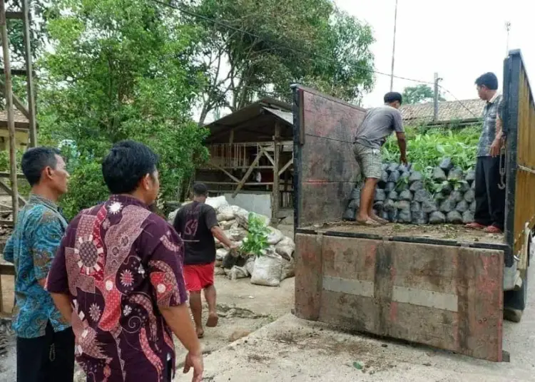 Tiga Jenis Tanaman Langka di Kabupaten Serang Dilestarikan