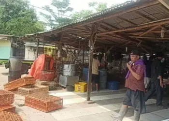 Harga Melambung, Pedagang Ayam Mogok Jualan