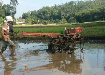 Bantuan Modal Untuk Poktan Kabupaten Serang Tak Kunjung Cair