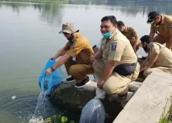 92 Ribu Benih Ikan Ditebar di Situ Ciherang