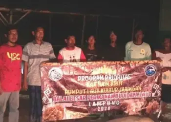 Pembudidaya Rumput Laut di Serang Terima Bantuan