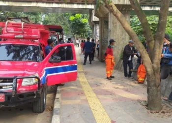 Sepanjang Tahun 2020, Damkar Tangsel Tangkap 34 Ular