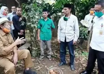 Gubernur WH Dorong Petani Budidaya Tanaman Porang