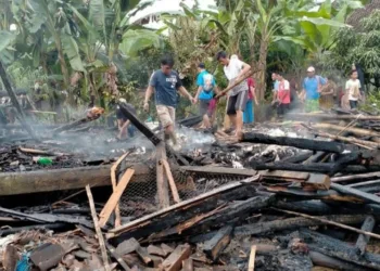 Setengah Tahun Terjadi 28 Kasus Kebakaran, Kerugian Capai Rp 1,3 M