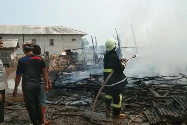 Kandang Terbakar, 4.800 Ekor Anak Ayam Terpanggang