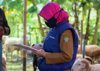 Pengecekan Hewan Kurban di Kota Tangerang