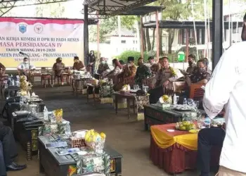 Di Depan DPR RI, Bupati Irna Minta Honorer Diangkat jadi PPPK