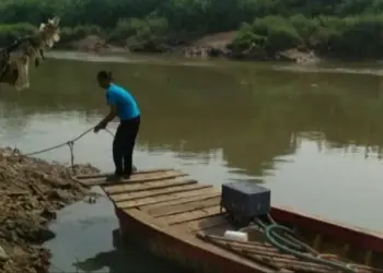 Asyik Berenang, Dua Bocah Tenggelam di Cisadane