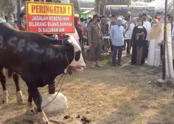 HEWAN KURBAN: Bupati Serang Ratu Tatu Chasanah menghadiri dan menyerahkan hewan kurban kepada beberapa lembaga keagamaan, usai melaksanakan Salat Idul Adha 1441 H, Jumat (31/7) lalu. (SIDIK/SATELIT NEWS)