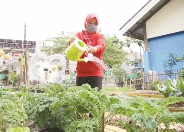 SIRAM SAYURAN: Anggota KWT Anthurium Pondok Arum, Karawaci, Kota Tangerang sedang menyiram sayur mayur, Kamis (6/8). (MADE/SATELIT NEWS)