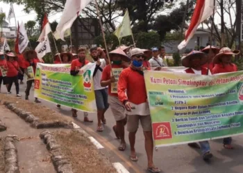 JALAN KAKI MENUJU JAKARTA: Sebanyak 170 petani yang tergabung dalam Serikat Petani Simalingkar Bersatu (SPSB) dan Serikat Tani Mencirim Bersatu (STMB) saat tiba di Kota Serang, Selasa (4/8). Mereka akan ke Jakarta untuk menemui Presiden Joko Widodo sebagai bentuk protes terhadap PT Perkebunan Nusantara (PTPN) II. (SIDIK/SATELIT NEWS)