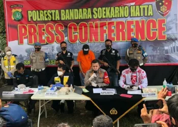 PALSUKAN SURAT HASIL COVID-19: Pelaku pemalsuan surat hasil bebas Covid-19 berinisial FM  dihadirkan saat konferensi pers di Polresta Bandara Soekarno-Hatta, Tangerang, Senin (10/8). Polres Bandara Soekarno-Hatta berhasil mengamankan pelaku pemalsuan surat hasil negatif tes usap PCR bebas covid-19 berinisial FM, yang tertulis dari Gugus Tugas Percepatan Penanganan Covid-19 Asrama Haji Pondok Gede. (DEDE KURNIAWAN/SATELIT NEWS)