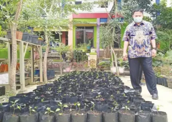 TANAMAN PRODUKTIF: Plt Kepala Dinas Pendidikan Kota Tangerang, Jamaluddin saat meninjau lahan produktif di SMPN 6 Kota Tangerang, Kamis (3/9). (ISTIMEWA)