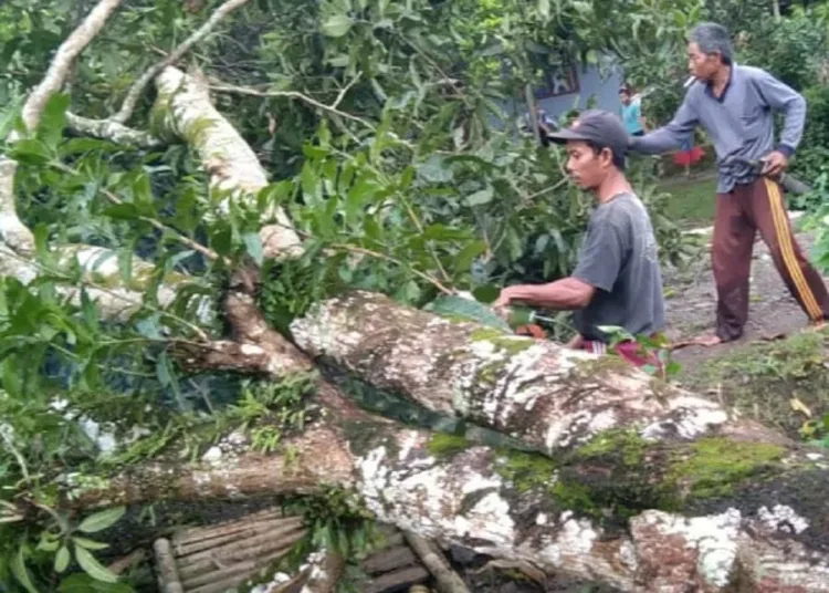 Disapu Angin Kencang, 26 Rumah di Pandeglang Rusak