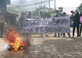 Kesal, Kantor DPMPTSP Dilempari Telor