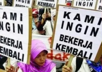 82 Ribu Warga Menganggur Di PHK akibat Pandemi Covid-19