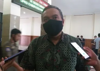 Nyamuk DBD Mulai Menyerang Warga