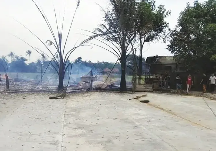 23.000 Ayam Terbakar, Ratusan Juta Melayang