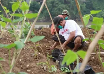 DKP Bangun Urban Farming di Bantaran Cisadane