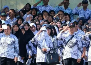 Pemberkasan Selesai, CPNS Tunggu NIP