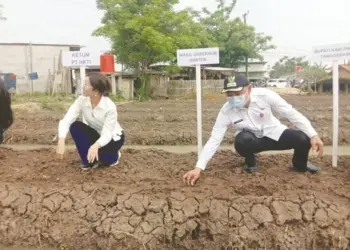 PTHKTI Ajak Perempuan Peduli Bahan Pangan