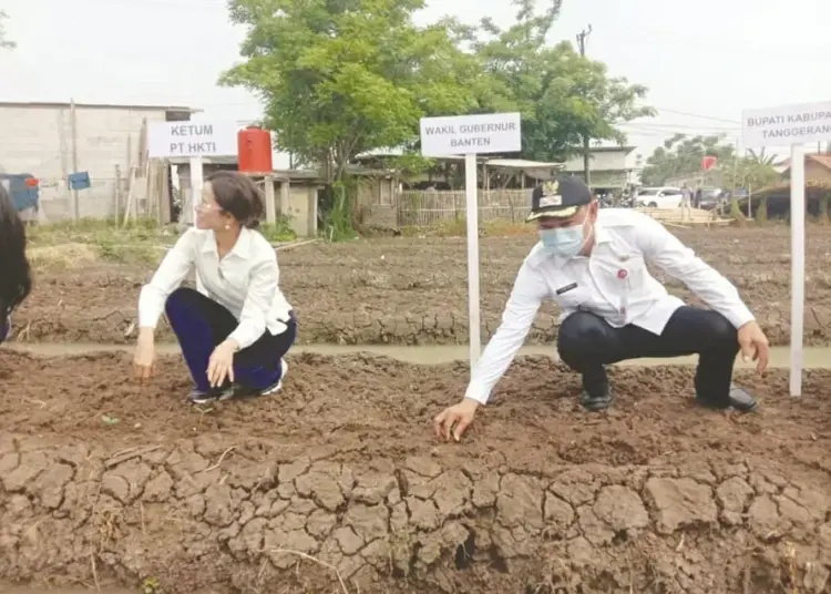 PTHKTI Ajak Perempuan Peduli Bahan Pangan