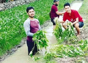 Paguyuban Pemuda Tani Sepatan Panen Sayuran