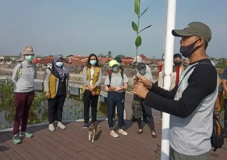 Cegah Abrasi, 10 Ribu Mangrove Ditanam