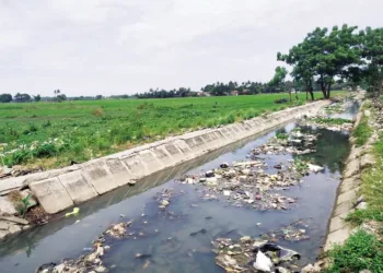 Petani Keluhkan Langkanya Pupuk Subsidi