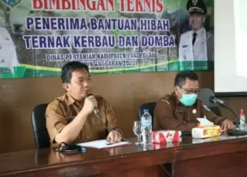 Hore, 24 Poktan Dapat Bantuan Kerbau dan Domba