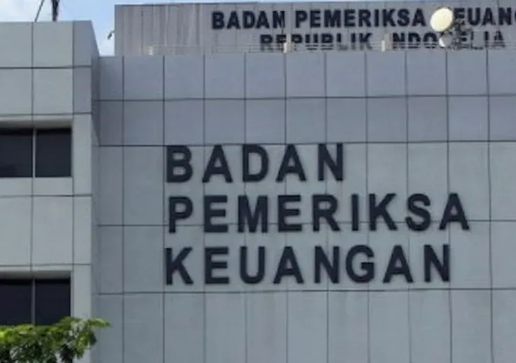 BPK Audit Dugaan Pemalsuan Data Kredit Macet