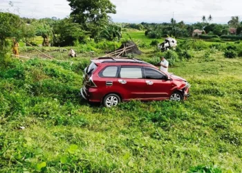 Diduga Pengemudi Ngantuk, 2 Mobil Avanza Masuk Jurang