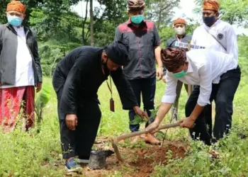 Lestarikan Alam, Ribuan Bibit Pohon Ditanam