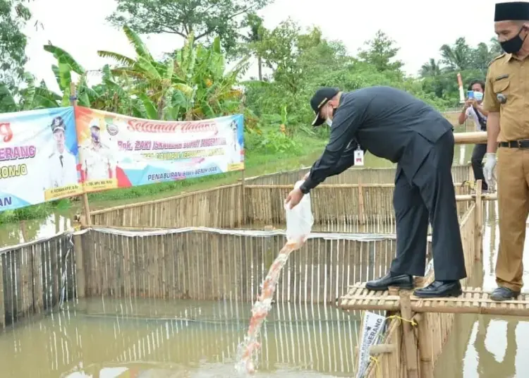 Bupati Tebar Benih Ikan di Kronjo, 3.000 Benih Nila dan 1 Ton Benih Lele